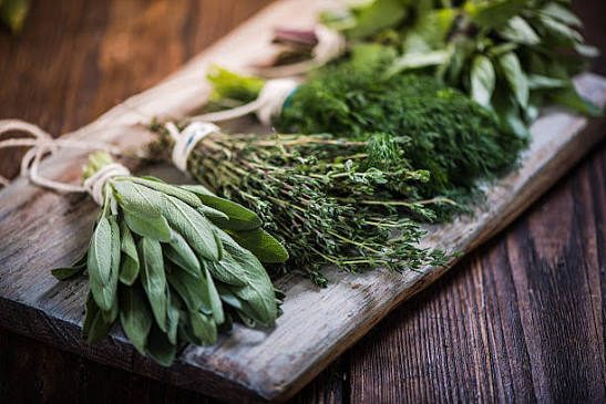 Fresh herbs laid out on a wooden board